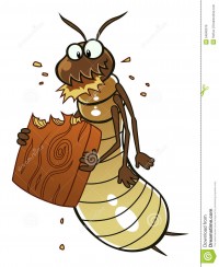 Làm sao để diệt mối