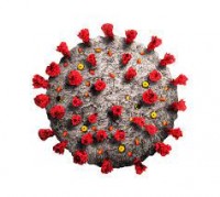 PHUN KHỬ KHUẨN TẠI QUẬN 1